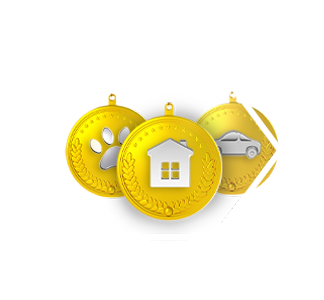 General Insurance