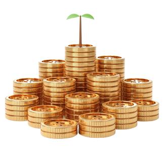 What Is Wealth Management?